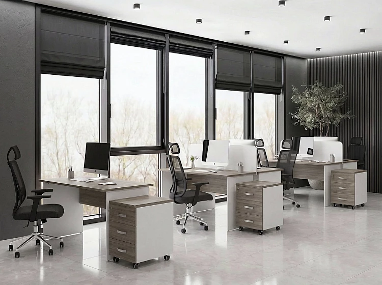 remi berlin shorvud white (1)