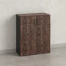 Шкаф распашной, регулируемые опоры, 3 уровня 900x420x1100 RM150-90x42 Дуб Апрельский шоколад/Черный