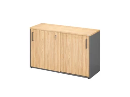 Низкий шкаф-купе на регулируемых опорах 1200x420x750 RM125-120x42 Вяз Швейцарский светлый/Серый