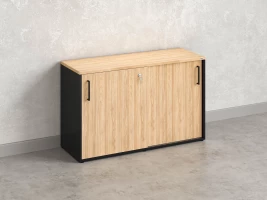 Низкий шкаф-купе на регулируемых опорах 1200x420x750 RM125-120x42 Вяз Швейцарский светлый/Черный