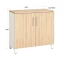 Шкаф низкий распашной, 2 уровня 900x420x850 RM147-90x42 Вяз Швейцарский светлый/Белый