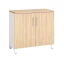 Шкаф низкий распашной, 2 уровня 900x420x850 RM147-90x42 Вяз Швейцарский светлый/Белый