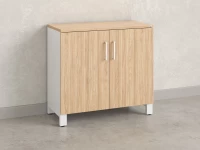 Шкаф низкий распашной, 2 уровня 900x420x850 RM147-90x42 Вяз Швейцарский светлый/Белый