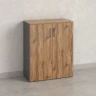 Шкаф распашной, регулируемые опоры, 3 уровня 900x420x1100 RM150-90x42 Дуб Юстус/Серый
