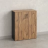 Шкаф распашной, регулируемые опоры, 3 уровня 900x420x1100 RM150-90x42 Дуб Юстус/Черный