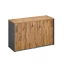 Низкий шкаф-купе на регулируемых опорах 1200x420x750 RM125-120x42 Дуб Юстус/Серый