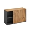 Низкий шкаф-купе на регулируемых опорах 1200x420x750 RM125-120x42 Дуб Юстус/Серый