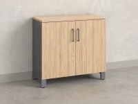 Шкаф низкий распашной, 2 уровня 900x600x850 RM147-90x60 Вяз Швейцарский светлый/Серый