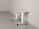 Стол складной, мобильный 1200x600x750 RM011-12x6 Дуб Маувелла/Белый