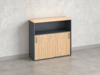 Низкий шкаф-купе, 2 полки с надстройкой, на регулируемых опорах 1200x420x1100 RM127-120x42 Вяз Швейцарский светлый/Серый