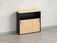 Низкий шкаф-купе, 2 полки с надстройкой, на регулируемых опорах 1200x420x1100 RM127-120x42 Вяз Швейцарский светлый/Черный