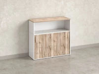 Шкаф-купе низкий, 2 полки с надстройкой, на регулируемых опорах 1200x420x1100 RM127-120x42 Дуб Маувелла/Белый