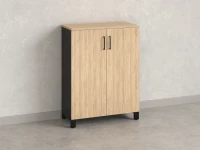 Шкаф распашной, 3 уровня 900x420x1200 RM149-90x42 Вяз Швейцарский светлый/Черный