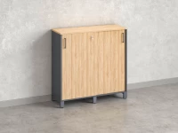 Низкий шкаф-купе, 3 полки 1200x420x1200 RM128-120x42 Вяз Швейцарский светлый/Серый