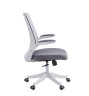 Офисное кресло Chairman CH565 белый пластик, серый