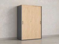 Шкаф-купе, регулируемые опоры, штанга, 1 полка 1200x600x1800 RM164-90x60 Вяз Швейцарский светлый/Серый