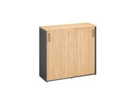 Низкий шкаф-купе, 3 полки, на регулируемых опорах 1200x420x1100 RM129-120x42 Вяз Швейцарский светлый/Серый