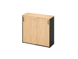 Низкий шкаф-купе, 3 полки, на регулируемых опорах 1200x420x1100 RM129-120x42 Вяз Швейцарский светлый/Черный