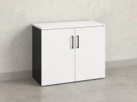 Шкаф низкий распашной, регулируемые опоры, 2 уровня 900x420x750 RM148-90x42 Белый/Черный