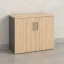 Шкаф низкий распашной, регулируемые опоры, 2 уровня 900x420x750 RM148-90x42 Вяз Швейцарский светлый/Серый