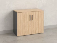 Шкаф низкий распашной, регулируемые опоры, 2 уровня 900x420x750 RM148-90x42 Вяз Швейцарский светлый/Серый