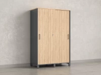 Шкаф-купе, штанга, 1 полка 1200x600x1900 RM163-90x60 Вяз Швейцарский светлый/Серый