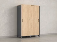 Шкаф-купе, штанга, 1 полка 1200x600x1900 RM163-90x60 Вяз Швейцарский светлый/Серый