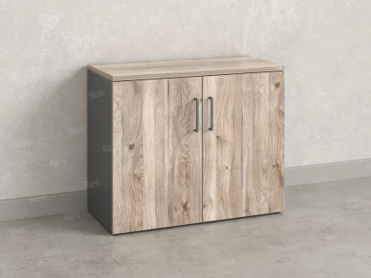 Шкаф низкий распашной, регулируемые опоры, 2 уровня 900x420x750 RM148-90x42 Дуб Маувелла/Серый