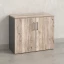 Шкаф низкий распашной, регулируемые опоры, 2 уровня 900x420x750 RM148-90x42 Дуб Маувелла/Серый