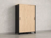 Шкаф-купе, штанга, 1 полка 1200x600x1900 RM163-90x60 Вяз Швейцарский светлый/Черный