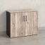 Шкаф низкий распашной, регулируемые опоры, 2 уровня 900x420x750 RM148-90x42 Дуб Маувелла/Черный
