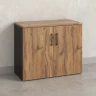 Шкаф низкий распашной, регулируемые опоры, 2 уровня 900x420x750 RM148-90x42 Дуб Юстус/Черный