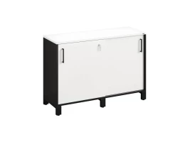 Низкий шкаф-купе 1200x420x850 RM124-120x42 Белый/Черный