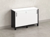 Низкий шкаф-купе 1200x420x850 RM124-120x42 Белый/Черный