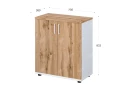 Шкаф закрытый 730x380x832 RTD048 Вотан/Белый. Серия Тандем / Tandem. Серия Тандем / Tandem