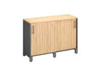 Низкий шкаф-купе 1200x420x850 RM124-120x42 Вяз Швейцарский светлый/Серый