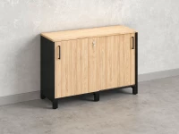 Низкий шкаф-купе 1200x420x850 RM124-120x42 Вяз Швейцарский светлый/Черный